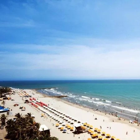 Apartamento De Frente Al Mar Palmetto
